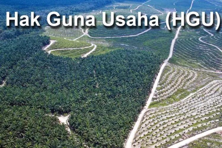 Banyak HGU Tak Aktif di Riau, SPKS: Bisa Dicabut dan Dihapuskan