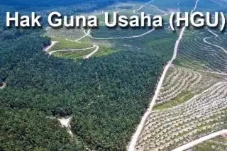 Banyak HGU Tak Aktif di Riau, SPKS: Bisa Dicabut dan Dihapuskan