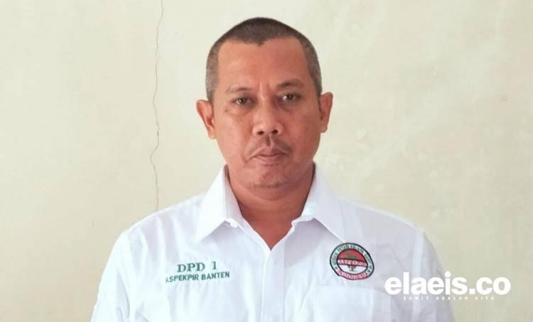 Petani Pandeglang Sumringah Tunggu Panen Perdana Sawit Hasil Peremajaan