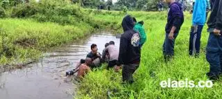 Pengembala Sapi Ditemukan Tewas Dalam Parit Milik Perusahaan Perkebunan Kelapa Sawit