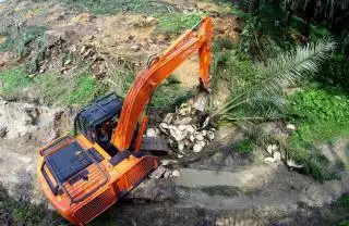 Dapat Jatah 100 Ha, Rejang Lebong Berharap PSR Cepat Terealisasi