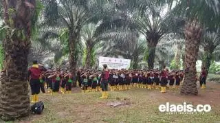 Hingga 12 Juni, 2.589 Peserta Lulus Seleksi Administrasi Beasiswa Sawit