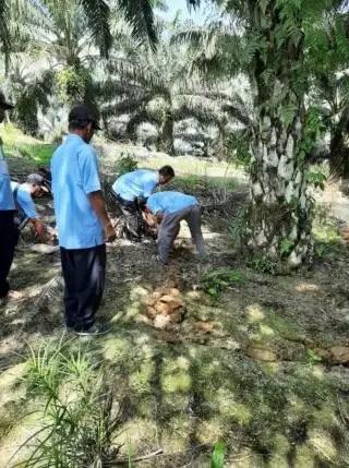 Kendalikan Hama, Petani Sawit Kaltim Dilatih Perbanyak Agens Hayati