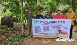 PT Musim Mas Bantu Hewan Kurban untuk 10 Desa & 2 Kelurahan, Manajemen: Ini Rutinitas Tahunan