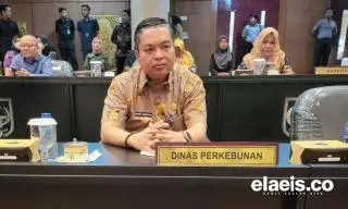 Harga Jual CPO di Riau Meroket, Ini Daftarnya