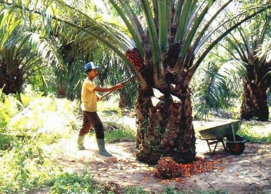 Sepanjang 2023, Pemkab Agam Targetkan 509 STD-B