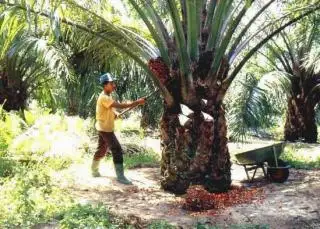 Sepanjang 2023, Pemkab Agam Targetkan 509 STD-B