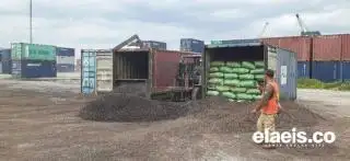 DLHK Bengkulu: Cangkang Sawit Bisa Gantikan Kayu Bakar