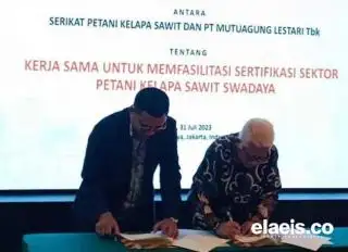 Kolaborasi dengan PT Mutuagung, SPKS Fasilitasi Petani Dapatkan Sertifikat ISPO-RSPO