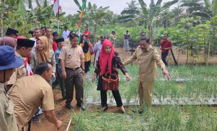 Ajak Petani Sawit Tanam Bawang Merah, Bupati Mian: Warga Desa Arga Mulya Sudah Buktikan