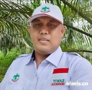 Turun Rp.18,72/kg, Sawit di Kaltim Dibandrol Rp2.143,58/Kg
