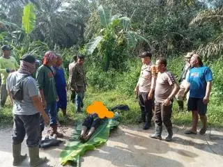 Buruh Sawit Ditemukan Tewas Tergeletak di Pinggir Jalan Bungaraya Siak