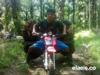 Petani Kelapa Sawit Diingatkan Wajib Pakai Helm, Polisi akan Pasang ETLE di Sejumlah Titik