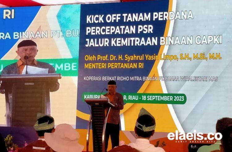Dihadiri Dirjenbun, Hari Ini Digelar Tanam Perdana PSR Koperasi Berkat Ridho di Kampar