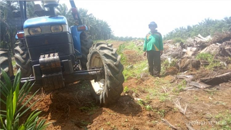 Sederet Masalah ini Jadi Kendala Implementasi ISPO Bagi Petani Swadaya di Jambi