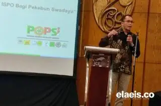 Ketum Popsi Bicara Pengganti Perpres 44/2020 tentang ISPO, Usulkan Pembiayaan Sosialisasi