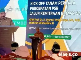 Sudah Diterbitkan 4.190 Rekomtek untuk Program PSR di Riau Tahun Ini