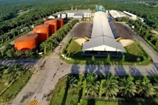 Jangan Hanya CPO, Pabrik Kelapa Sawit di Bengkulu Diminta Berinovasi  Menghasilkan Produk Baru