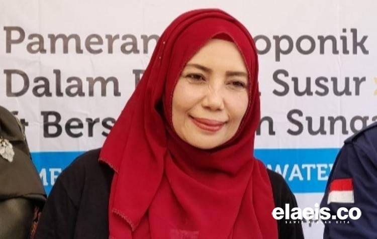Ketimbang Rugi, Petani Sawit Diminta Tetap Rawat Kebun yang Ditanami Bibit Abal-abal