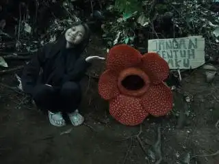 Petani Sawit Diminta Tidak Menganggap Bunga Rafflesia Sebagai Pembawa Sial