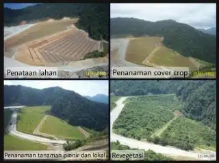 Apakah Eks Tambang Batu Bara Bisa Direklamasi Menjadi Kebun Sawit? Begini Jawaban Pakar