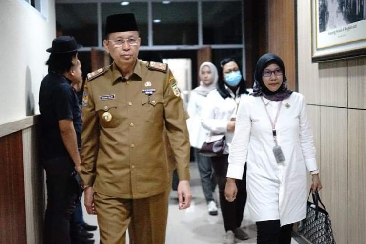 Produktivitas Sawit di Bengkulu Terancam gara-gara Petani Ogah Rawat Kebun, Begini Respon Pemerintah Daerah