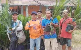 Bibit Unggul Dibagikan untuk 844 Hektar Lahan Sawit Rakyat