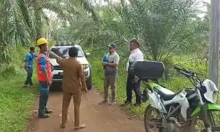 Satu Meteran Dibagi ke 10 Rumah, Petani Sawit Minta PLN Pasang Tiang Listrik