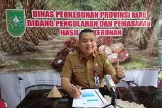 Pekan Ini, TBS Plasma di Riau Ditetapkan Naik 1,79 Persen