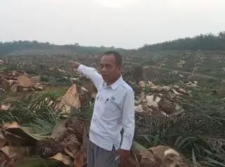DPD Apkasindo Merangin Berencana Tuntut Pencabutan HGU Sinarmas