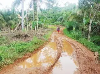 Warga Talang Beringin Sudah 20 Tahun Menunggu Perbaikan Jalan Desa