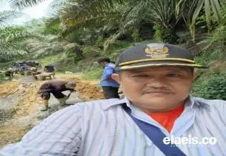 Regulasi yang Tidak Seiring Dinilai Jadi Inti Persoalan TBS Dibeli Tak Sesuai Harga Disbun