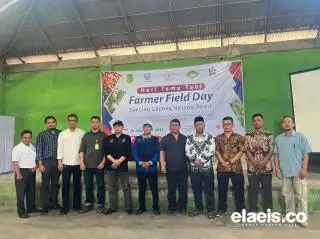 Petani di Negeri Seribu Parit Perkuat Praktik Pertanian Sawit Berkelanjutan