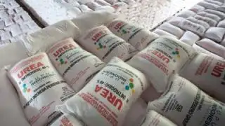 Harga Pupuk Sudah Turun, Gubernur Bengkulu Bilang Gini