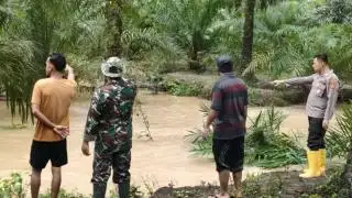 Hanyut di Kanal Sawit Saat Bermain, Bocah 8 Tahun Tewas
