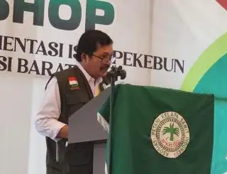 Produksi Kebun Sawit Sulbar Masih Stagnan