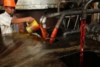 Harga Jual CPO Perusahaan Mitra Plasma di Riau Naik, Kernel Malah Merosot