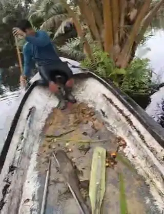 Sawit di Desa Mekar Jaya Sulit Dipanen, Upah Pekerja Membengkak Pula