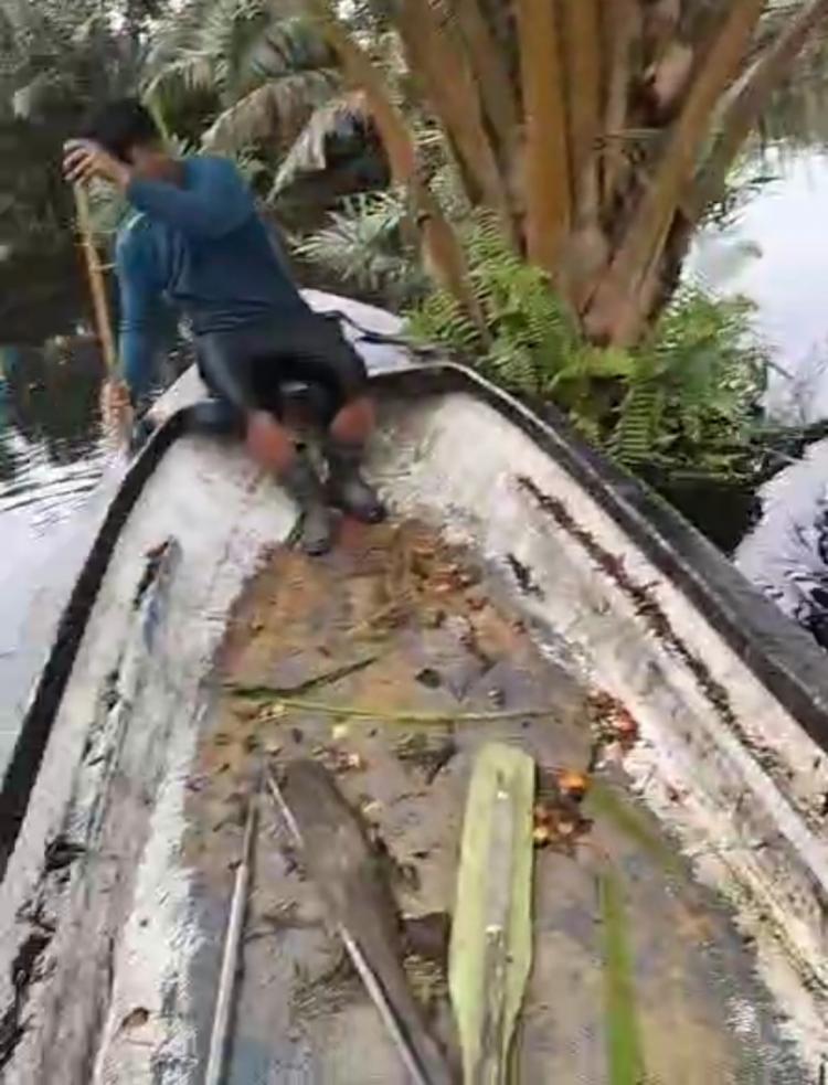 Karena Banjir, Sudah 2 Bulan Petani Sawit ini Bergantung pada Penghasilan Istri