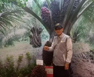 Ganjar Terus Gaungkan Badan Sawit Nasional, Petani: Itu Bagus, Tapi Nggak Perlu