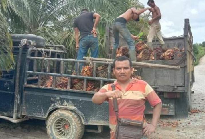 Harga TBS di PKS yang Selalu Membelot Bikin Netap Ginting Ikut Nyaleg