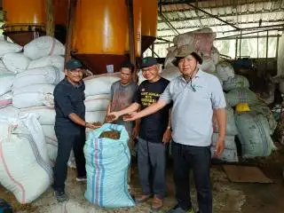 Alhamdulillah, Harga Sawit di Babel Mulai Membaik