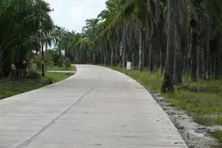 Ungkapan Terima Kasih, Warga Urunan Rawat Jalan yang Baru Dibangun Pemkab Paser