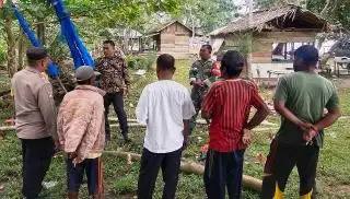 Warga Diingatkan Tidak Tebang Pohon Mangrove di Peureulak, ini Risikonya