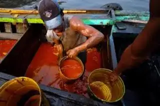 Teluk Bayur Ghosting, Talang Duku WD, Melejit Harga CPO Hasil Tender KPBN Periode 21 Februari 2024