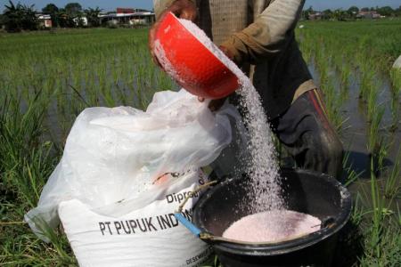 Alokasi Pupuk Subsidi Ditambah Jadi 9,55 Juta Ton, Petani Dapat Diskon 40 Persen
