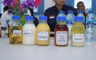 Hasilnya WD Semua Harga CPKO pada Tender PT KPBN Periode 27 Februari 2024