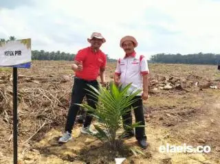 Aspek-PIR Optimis 2 Bulan Lagi Regulasi Sawit Terbit