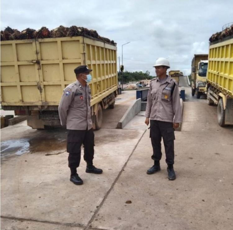 Petani Makin Tenang Sambut Lebaran, Harga TBS Sawit Kalteng Naik Lagi