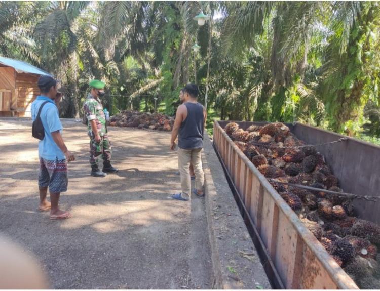 Usai Lebaran, Harga TBS di PKS dan Loading Ramp Turun